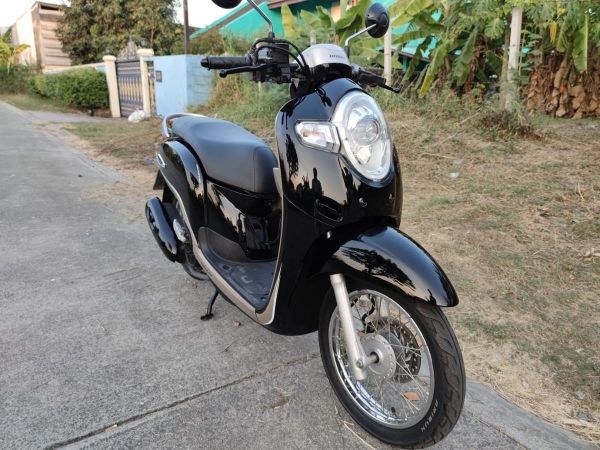 เก็บปลายทาง  Honda scoopy i สด-ผ่อน รูปที่ 4